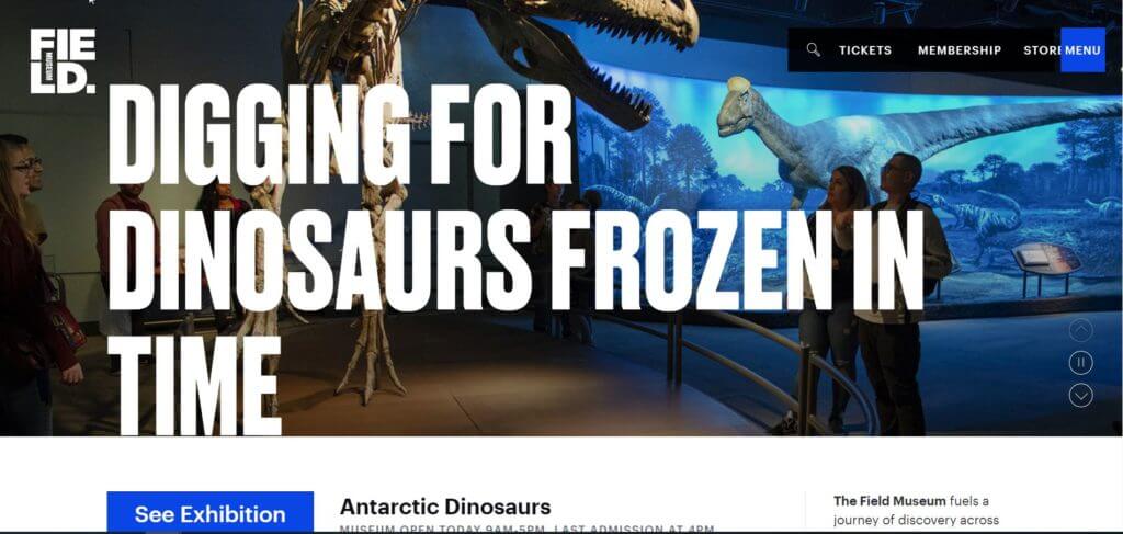 A snippet of the Field Museum's website featuring large text reading, "Digging for Dinosaurs Frozen in Time," over a full-screen background image of visitors looking at a T-rex skeleton. A small menu appears in the upper right-hand side.