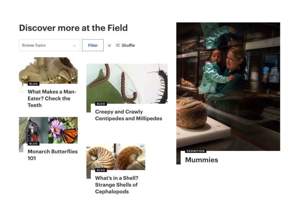 A screenshot leads with the header "Discover more at the Field" and various blocks of content—four on the left-hand side, one on the right-hand side—show images, titles, and categories.